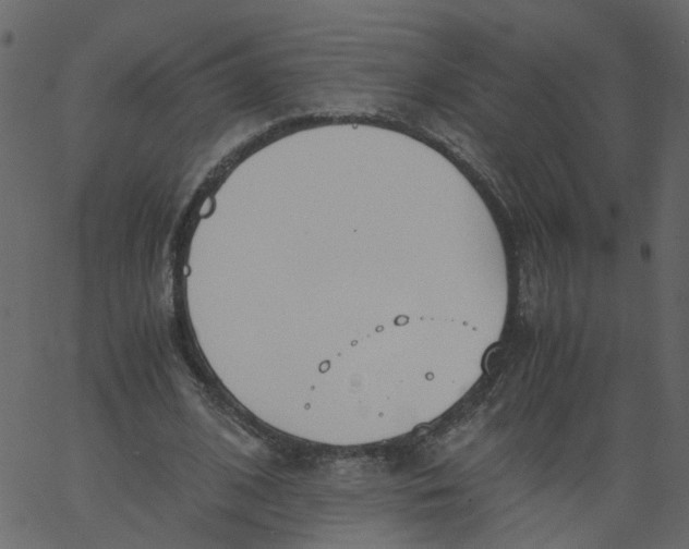 X0000062670584200601111246