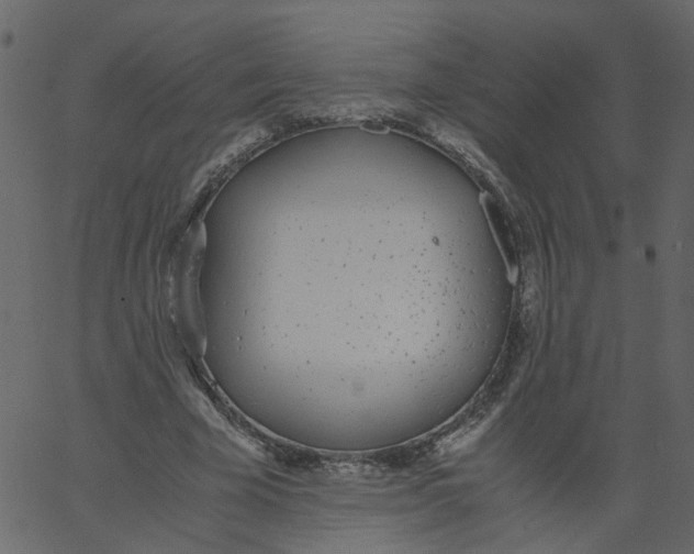 X0000062670585200601111246