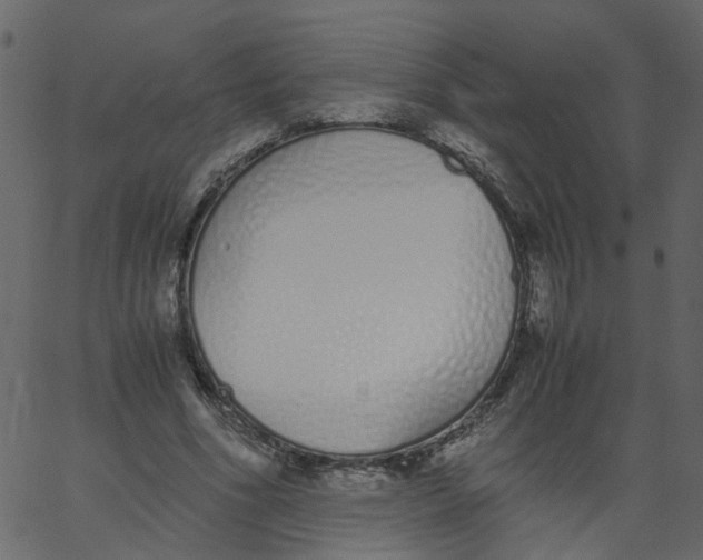 X0000062670586200601111246