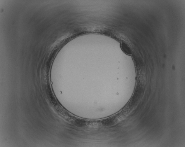 X0000062670587200601111246