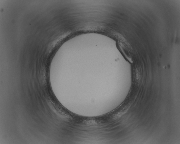 X0000062670588200601111246