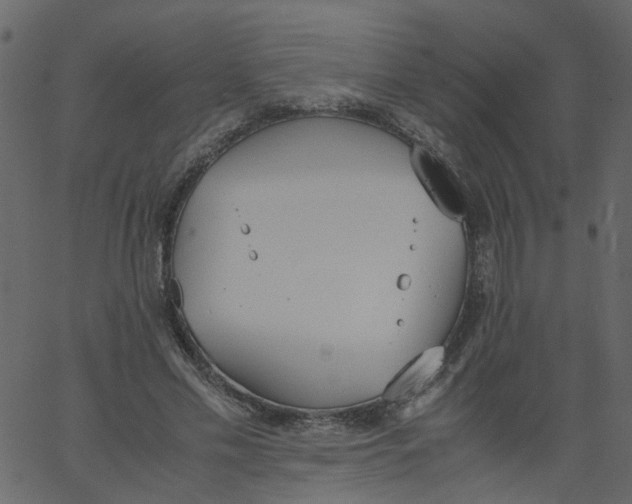 X0000062670589200601111246