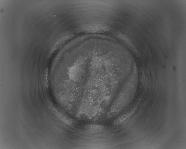 X0000062670590200601111246