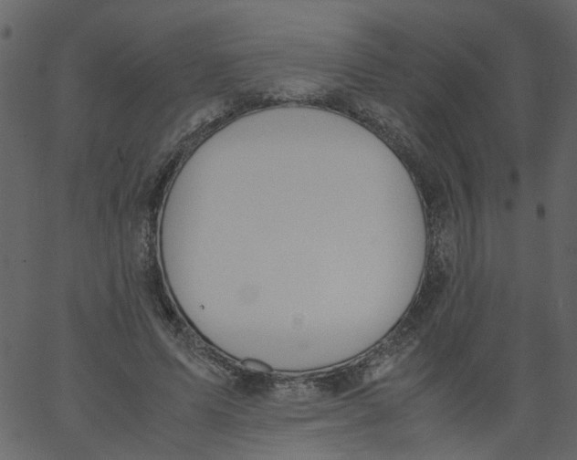 X0000062670591200601111246