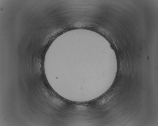 X0000062670592200601111246