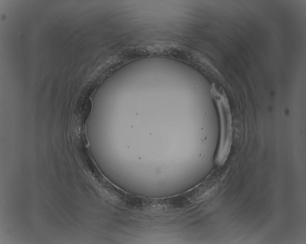 X0000062670593200601111246