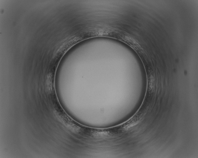 X0000062670594200601111246