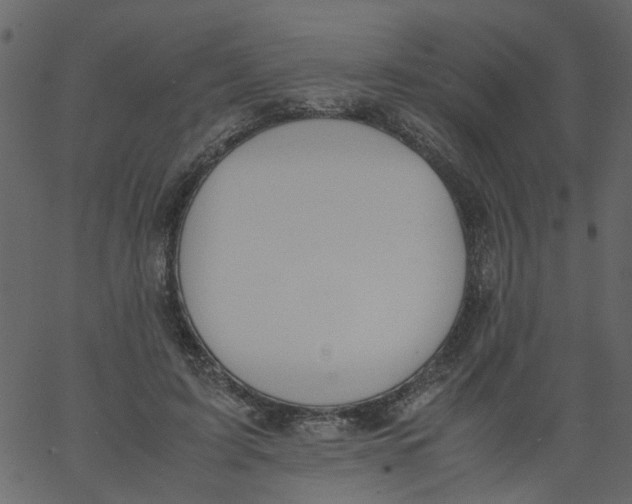 X0000062670595200601111246