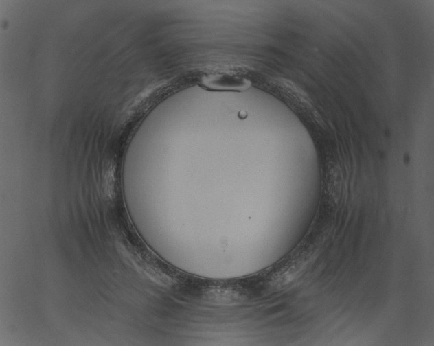 X0000062670596200601111246