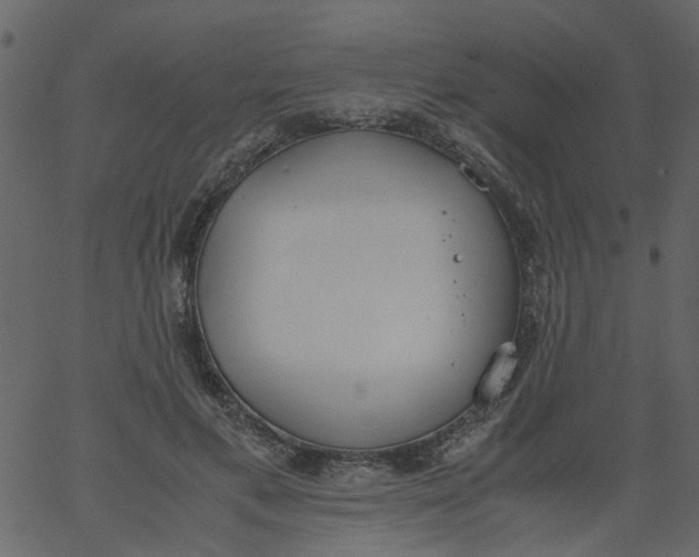 X0000062670597200601111246