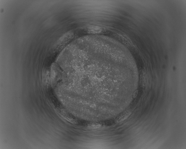 X0000062670598200601111246