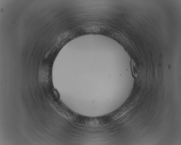 X0000062670600200601111246