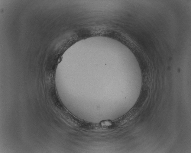 X0000062670601200601111246