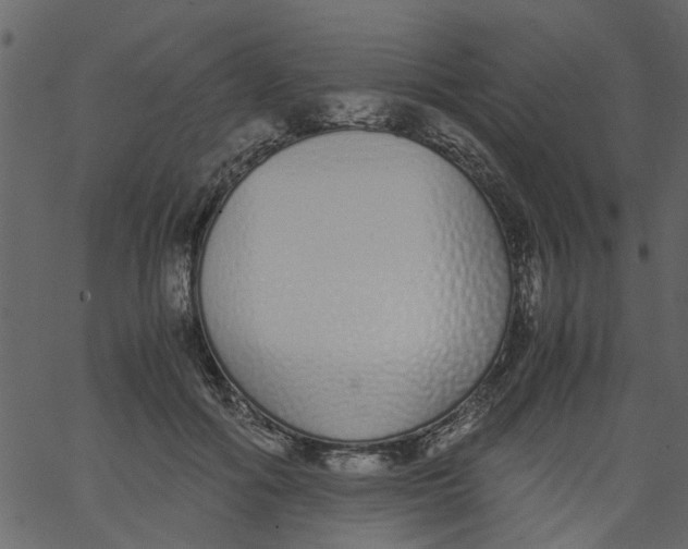 X0000062670602200601111246