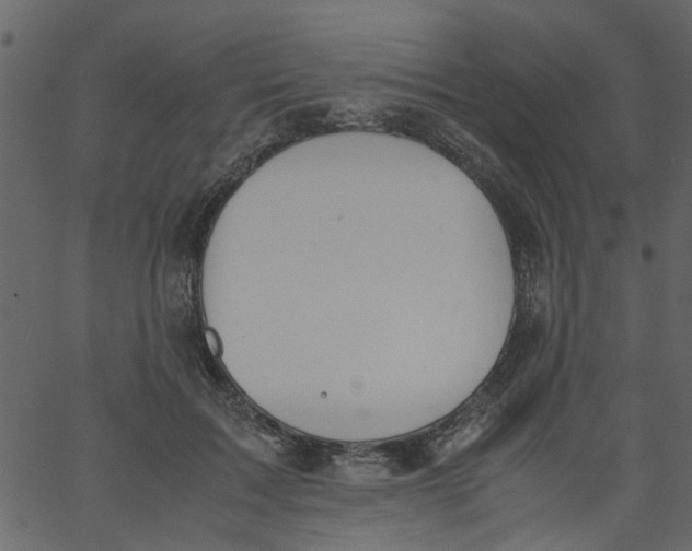 X0000062670603200601111246