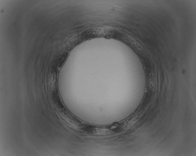 X0000062670605200601111246