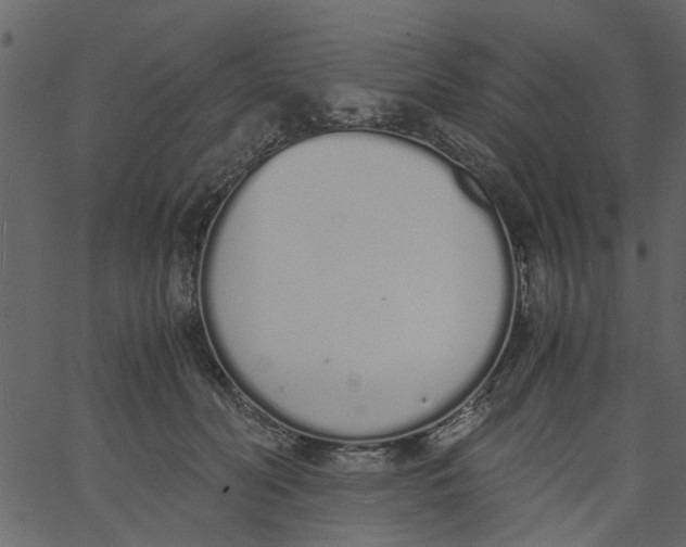 X0000062670606200601111246