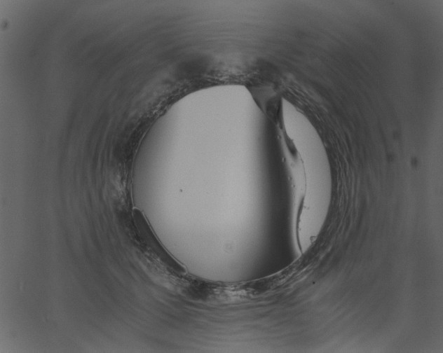 X0000062670607200601111246