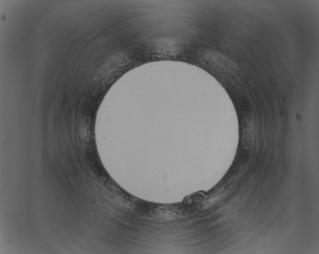 X0000062670608200601111246