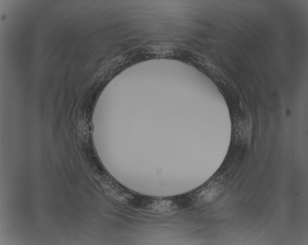 X0000062670609200601111246