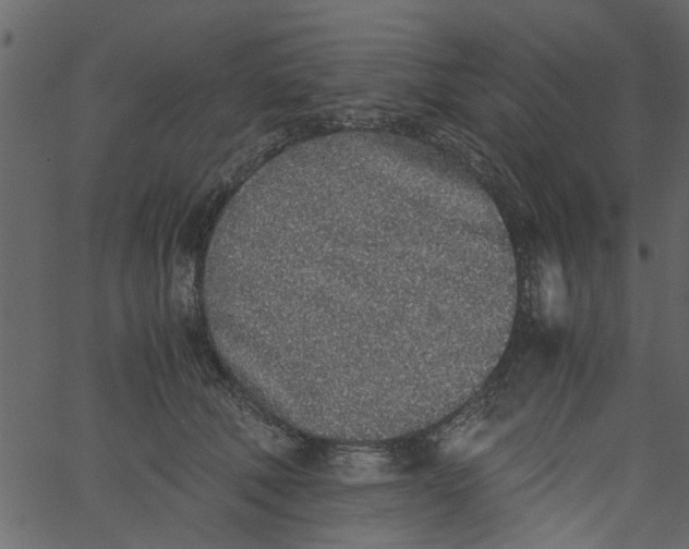 X0000062670610200601111246