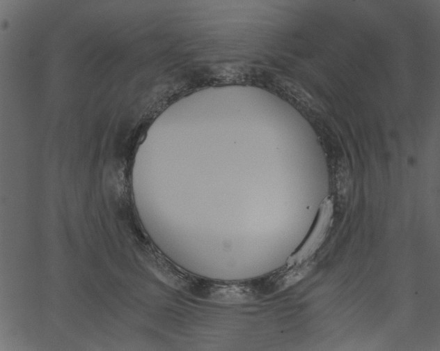 X0000062670611200601111246