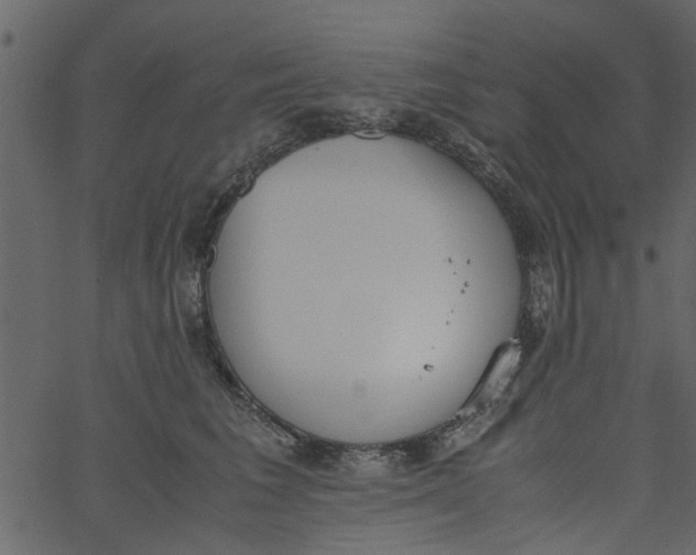 X0000062670613200601111246