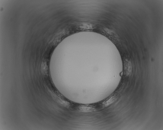 X0000062670614200601111246