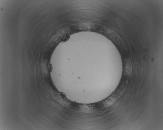 X0000062670616200601111246