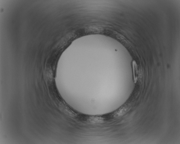 X0000062670617200601111246