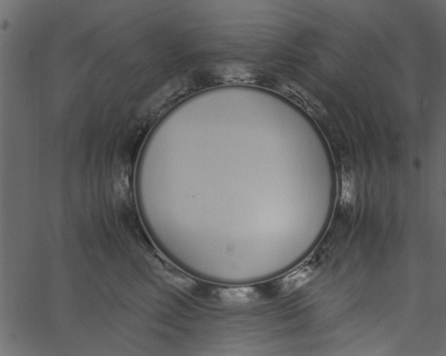 X0000062670618200601111246