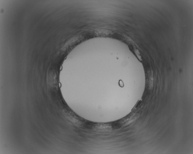 X0000062670619200601111246