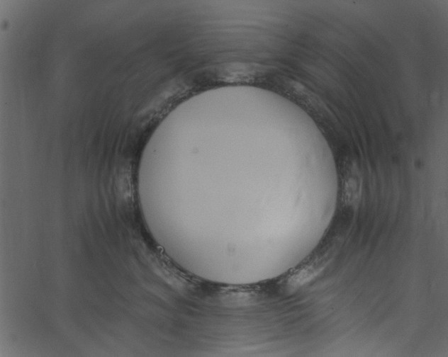 X0000062670620200601111246