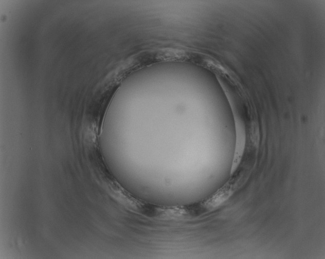 X0000062670621200601111245