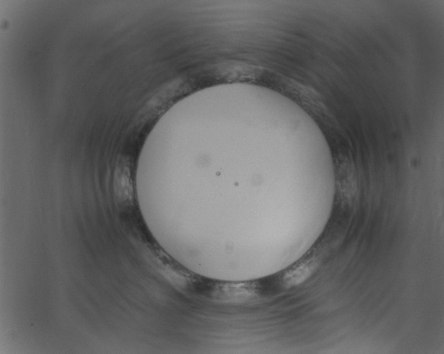 X0000062670622200601111245