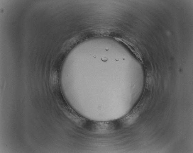 X0000062670623200601111245