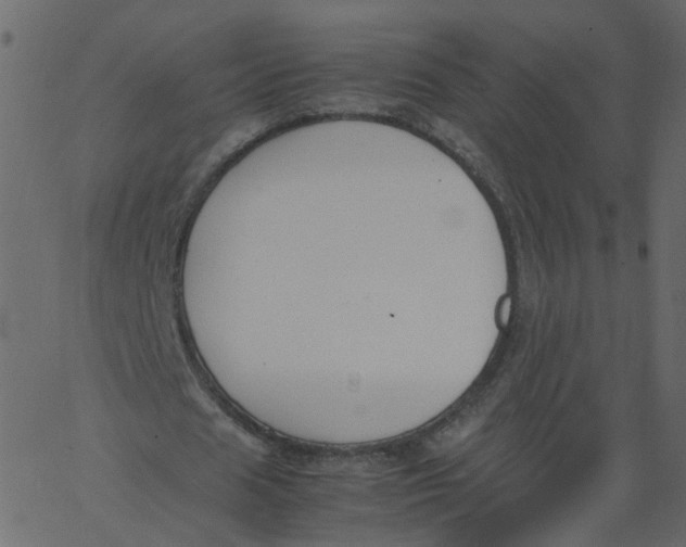 X0000062670625200601111245