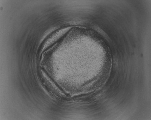 X0000062670626200601111245