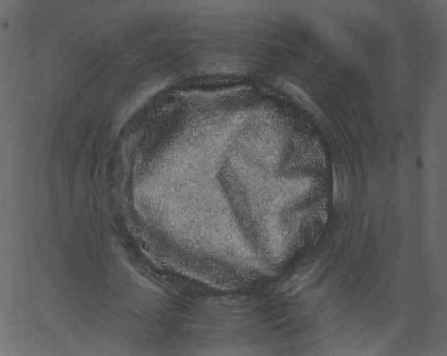 X0000062670627200601111245