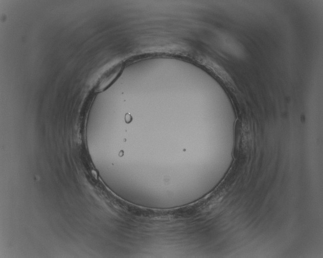 X0000062670628200601111245