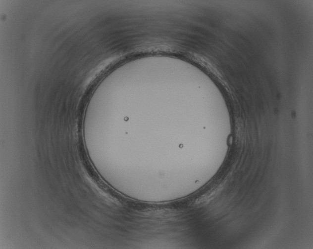 X0000062670629200601111245