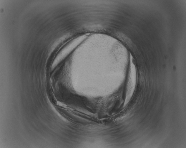 X0000062670630200601111245