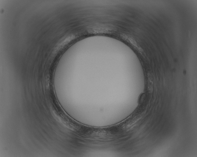 X0000062670631200601111245