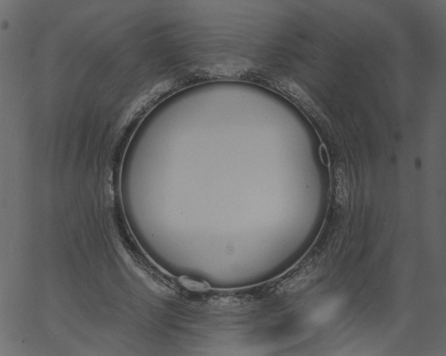 X0000062670634200601111245