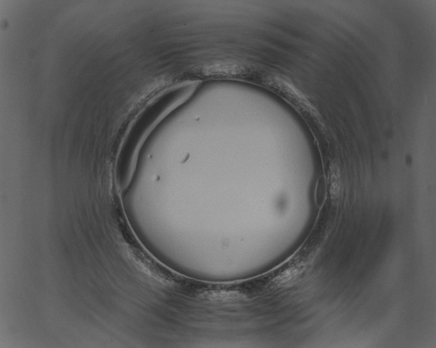 X0000062670637200601111245