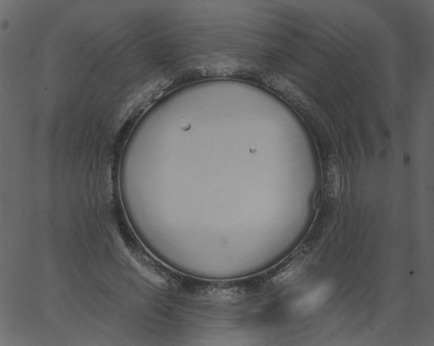 X0000062670638200601111245