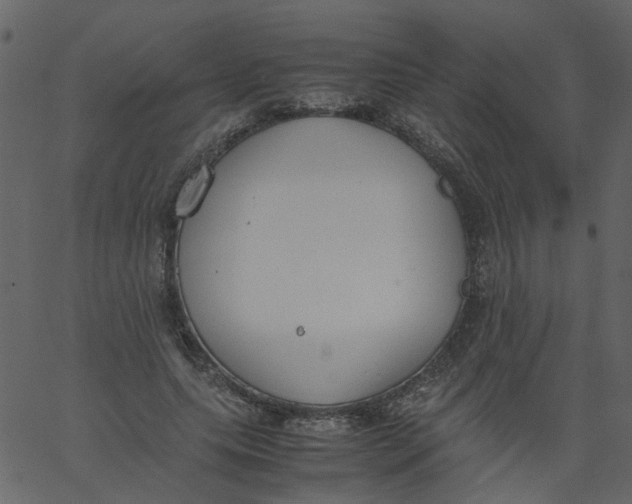 X0000062670639200601111245