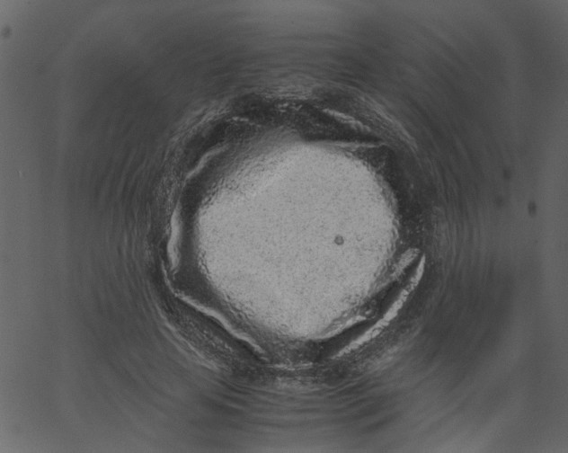 X0000062670641200601111245