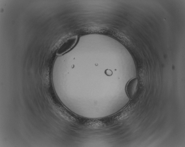 X0000062670642200601111245