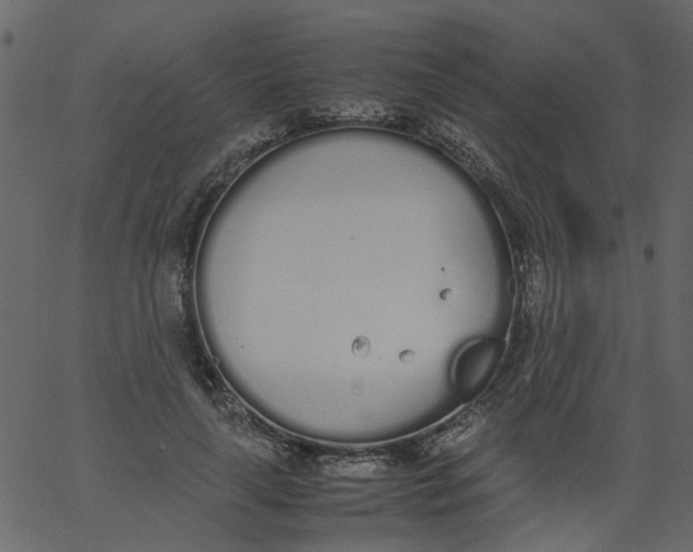 X0000062670643200601111245